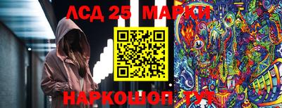 a pvp Брянск