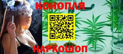 a pvp Брянск