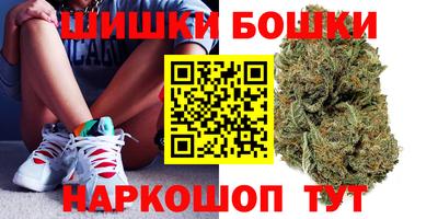 прущие грибы Братск