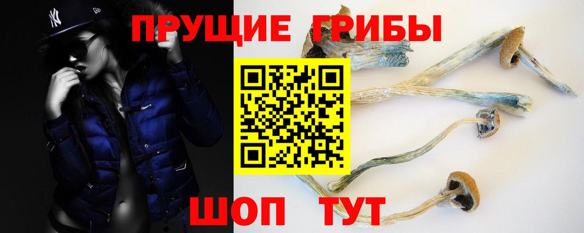 Галлюциногенные грибы ЛСД  Псилоцибиновые грибы Psilocybine cubensis  Ефремов  Вход с VPN 